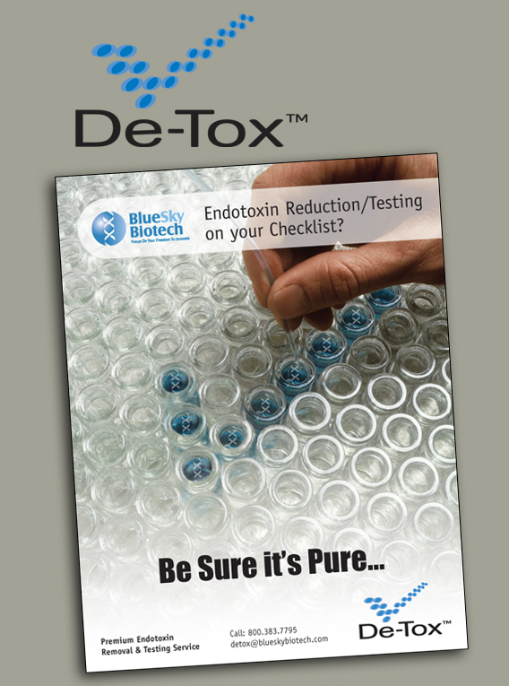 Blue Sky De-Tox Logo and flyer